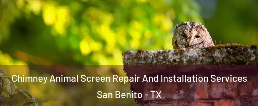  Chimney Animal Screen Repair And Installation Services San Benito - TX