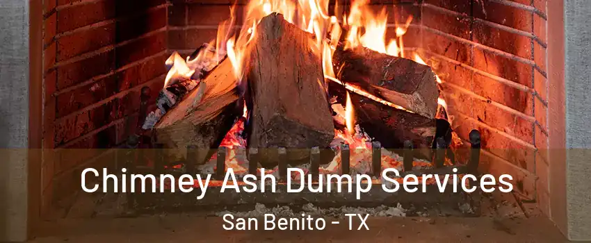  Chimney Ash Dump Services San Benito - TX