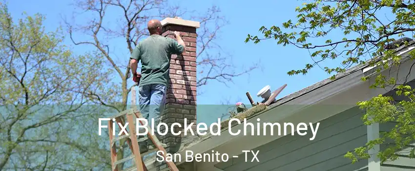  Fix Blocked Chimney San Benito - TX