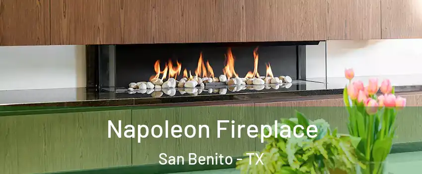  Napoleon Fireplace San Benito - TX